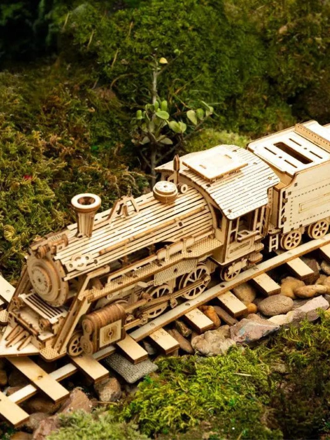 Maquette de Train en Bois